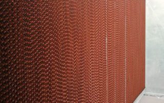 IMG-20240511-WA0005 IMG 20240511 WA0005