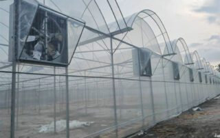 IMG-20240511-WA0033 IMG 20240511 WA0033