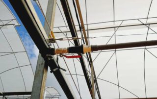 IMG-20240512-WA0151 IMG 20240512 WA0151