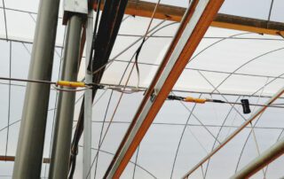 IMG-20240512-WA0158 IMG 20240512 WA0158