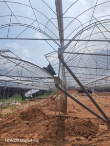 WhatsApp Image 2025 11 29 at 11.24.27 AM