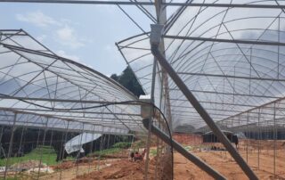 WhatsApp Image 2025 11 29 at 11.24.27 AM