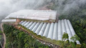 WhatsApp Image 2025 11 29 at 11.25.59 AM