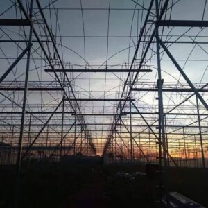 WhatsApp Image 2025 11 29 at 11.26.00 AM