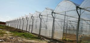 WhatsApp Image 2025 11 29 at 11.28.54 AM