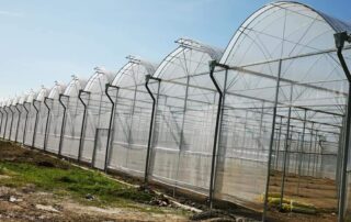 WhatsApp Image 2025 11 29 at 11.28.54 AM