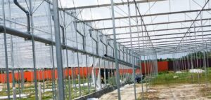 WhatsApp Image 2025 11 29 at 11.31.25 AM