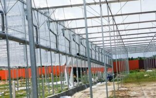 WhatsApp Image 2025 11 29 at 11.31.25 AM